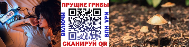 гидра маркетплейс  купить наркоту  Райчихинск  Галлюциногенные грибы ЛСД 